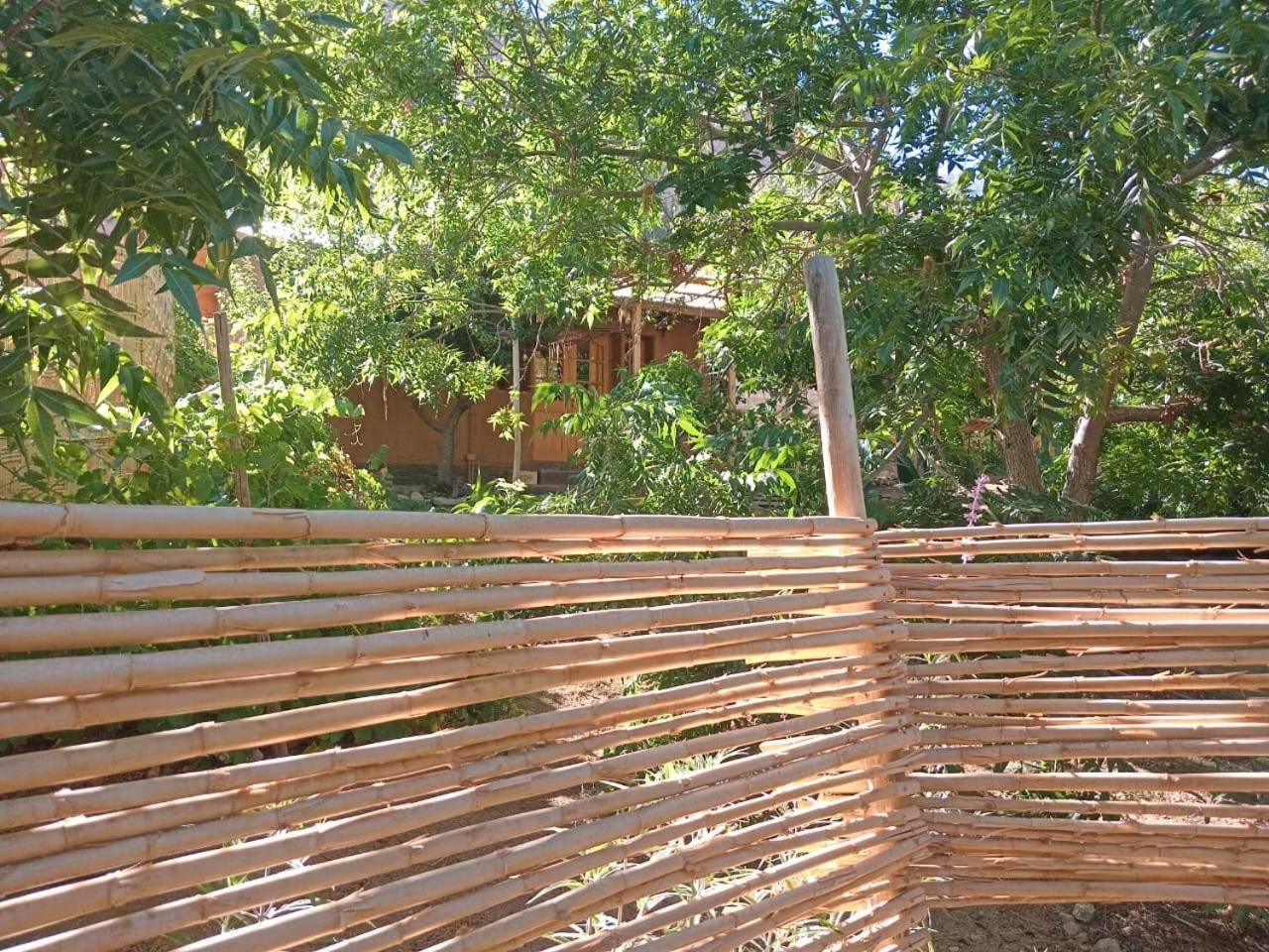Puma Cottage Horcón Εξωτερικό φωτογραφία